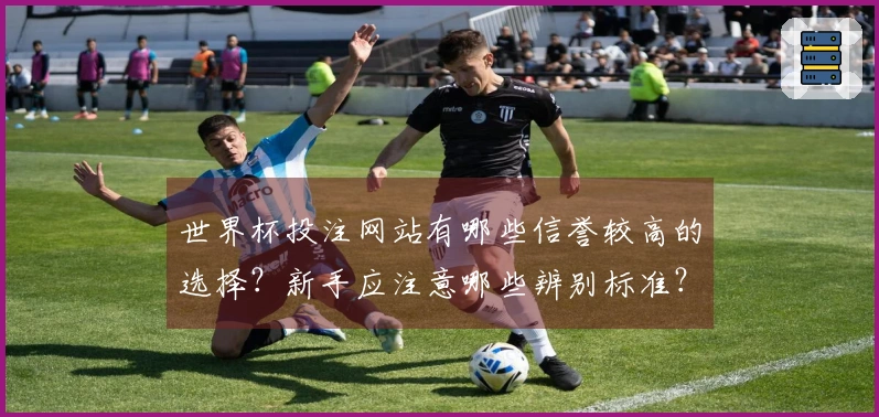 世界杯投注网站有哪些信誉较高的选择？新手应注意哪些辨别标准？