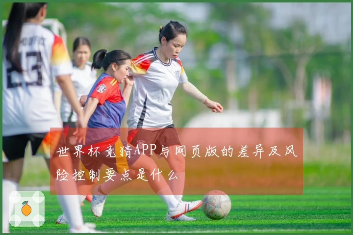 世界杯竞猜APP与网页版的差异及风险控制要点是什么