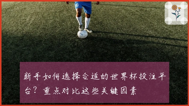 新手如何选择合适的世界杯投注平台？重点对比这些关键因素