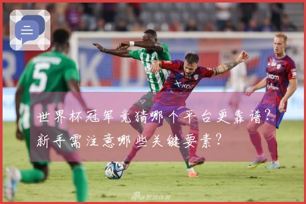 世界杯冠军竞猜哪个平台更靠谱？新手需注意哪些关键要素？