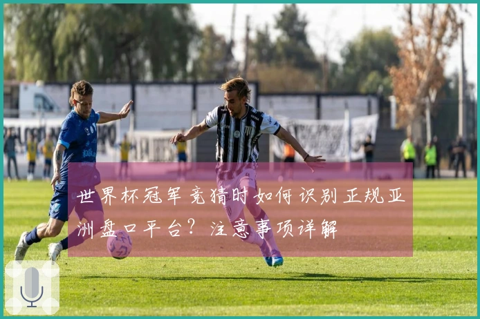 世界杯冠军竞猜时如何识别正规亚洲盘口平台？注意事项详解