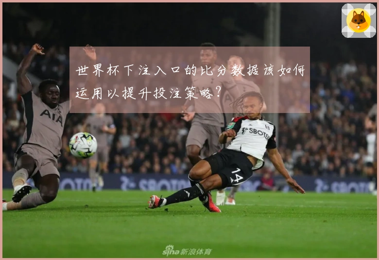 世界杯下注入口的比分数据该如何运用以提升投注策略？