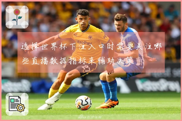 选择世界杯下注入口时需要关注哪些直播数据指标来辅助决策