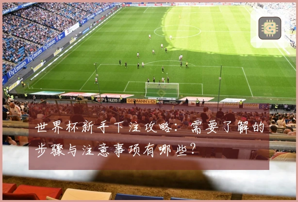 世界杯新手下注攻略：需要了解的步骤与注意事项有哪些？