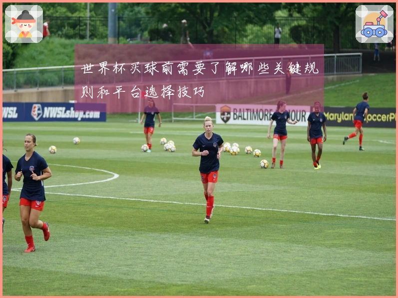 世界杯买球前需要了解哪些关键规则和平台选择技巧