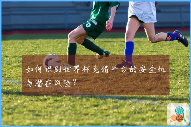如何识别世界杯竞猜平台的安全性与潜在风险？