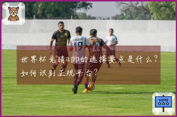 世界杯竞猜app的选择要点是什么？如何识别正规平台？
