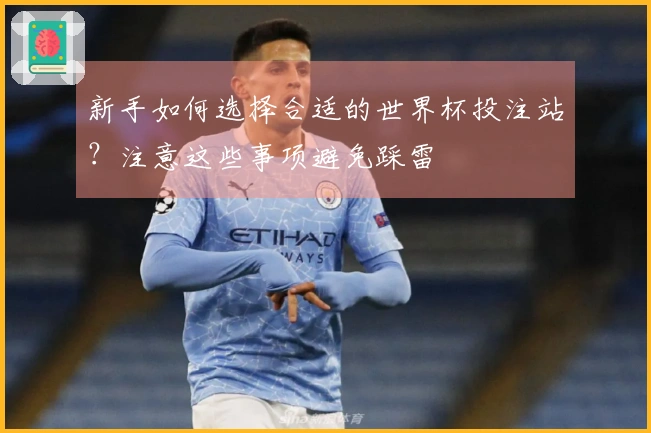 新手如何选择合适的世界杯投注站？注意这些事项避免踩雷