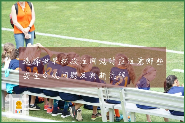 选择世界杯投注网站时应注意哪些安全合规问题及判断流程