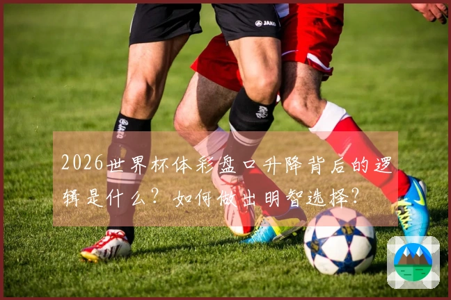 2026世界杯体彩盘口升降背后的逻辑是什么？如何做出明智选择？