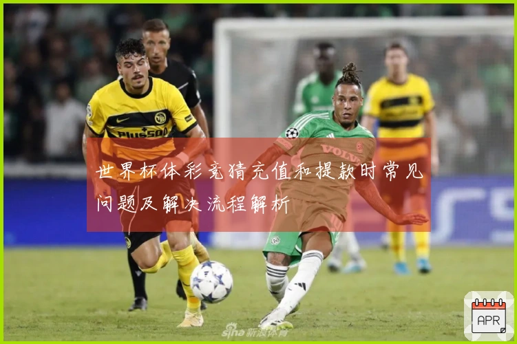 世界杯体彩竞猜充值和提款时常见问题及解决流程解析