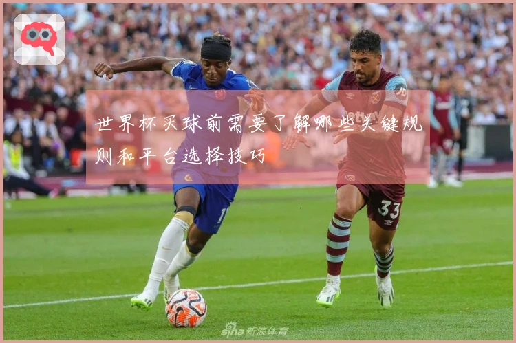 世界杯买球前需要了解哪些关键规则和平台选择技巧
