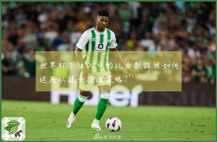 世界杯下注入口的比分数据该如何运用以提升投注策略？