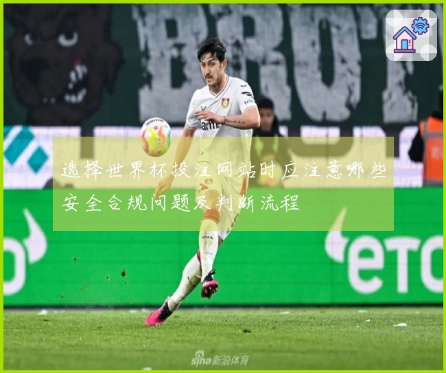 选择世界杯投注网站时应注意哪些安全合规问题及判断流程